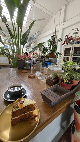 Planter Chin - Kuala Lumpur