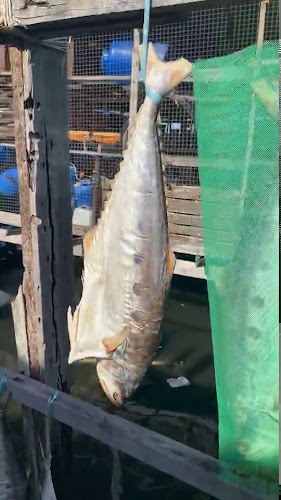 Opinii despre Kg Pukat Fisherman Village în Sandakan - Gastronomi dan perhotelan