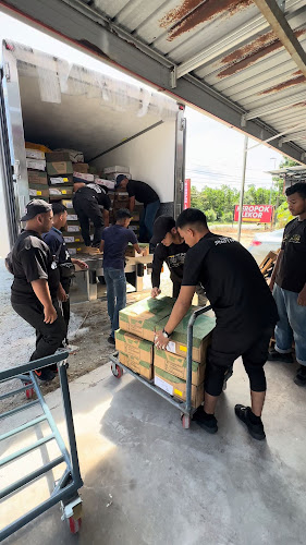 SHEEPY FROZEN SETIU - Permaisuri