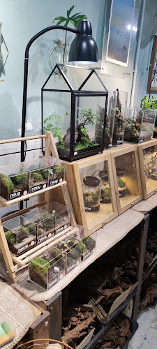 Naug Cafe (Naug Just Plants’ backyard) - Gastronomi dan perhotelan