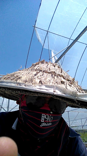 31700 Malim Nawar, Perak