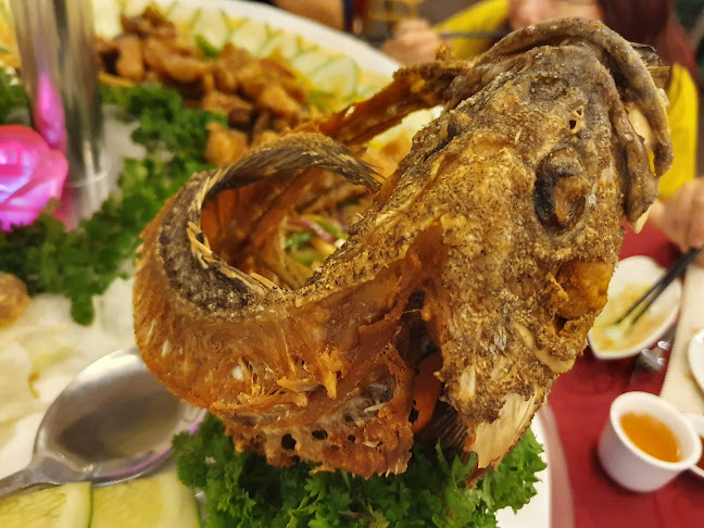 Rainbow Seafood Restaurant - Gastronomi dan perhotelan