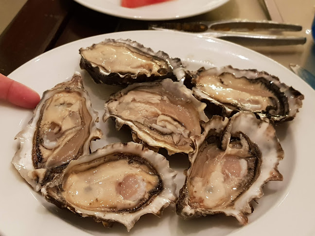 Comentarii opinii despre Gobo Chit Chat