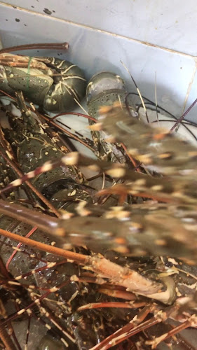 Comentarii opinii despre Nasi Kandar Pekan Lama