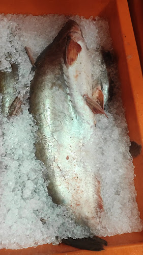 117, Jalan Indah 1, Taman Halaman Tualang Indah, 31800 Tanjung Tualang, Perak