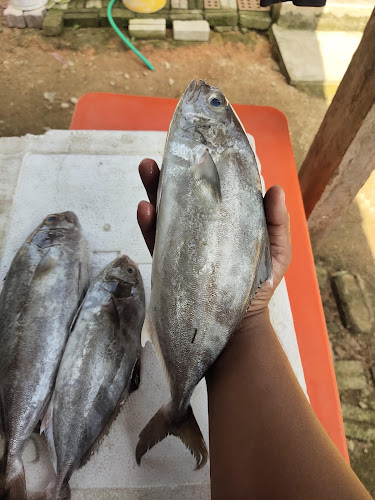 Comentarii opinii despre Kompleks Lkim Kuantan