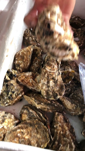 Opinii despre Cengkerang Seafood Jumble în Melaka - Gastronomi dan perhotelan