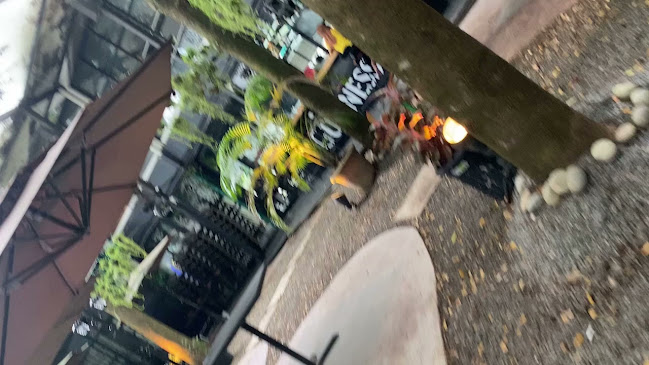 Opinii despre Oxygen Bar în Sibu - Gastronomi dan perhotelan