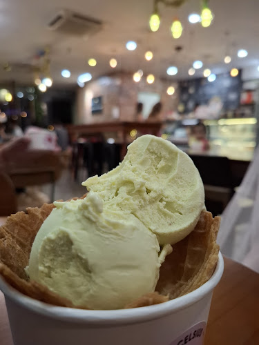 5° Celsius Latitud 6