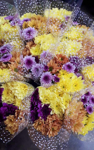 Comentarii opinii despre 智生水果屋 Fruit Valley Cher Sen