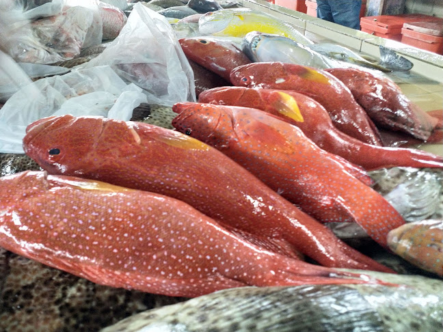 Opinii despre Lido Square în Kota Kinabalu - Gastronomi dan perhotelan