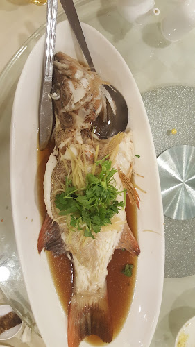 Comentarii opinii despre Hung Xing Seafood Restaurant