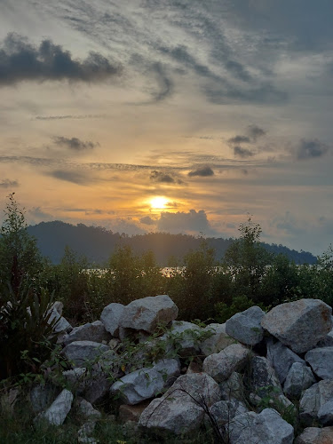 Opinii despre Warung D'Bakau în Pantai Remis - Gastronomi dan perhotelan