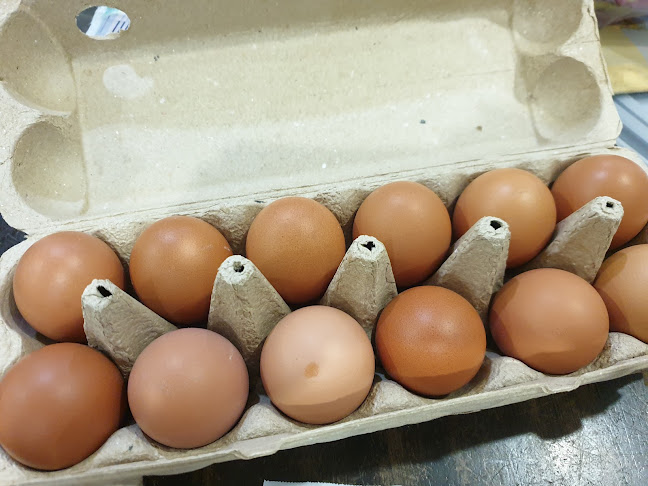 Comentarii opinii despre Fresh Choicez