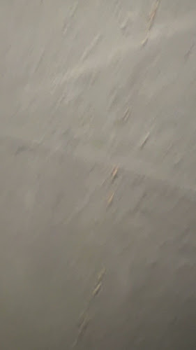 Patong Seafood - Gastronomi dan perhotelan