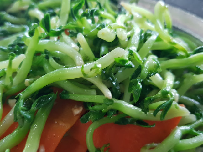 Opinii despre Alor Star CY & Chen 华驰名菜哺魚 în Alor Setar - Gastronomi dan perhotelan