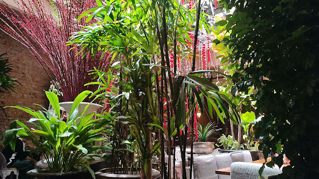 Opinii despre Campong O’oloo în Melaka - Gastronomi dan perhotelan