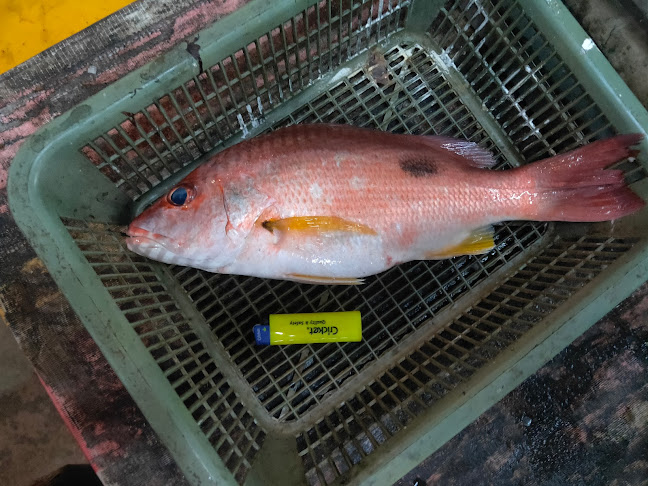 Mie Ikan Bakar - Besut