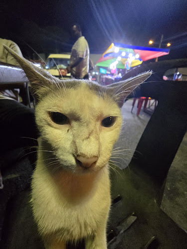 Pasar Malam Bagan Serai - Gastronomi dan perhotelan