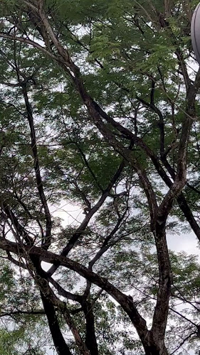 Food Merchant Cafe & Retail - Kuala Lumpur