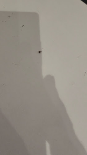 Secret Recipe AEON Mall Shah Alam