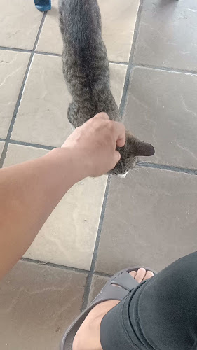 Opinii despre My Kopitiam în Sibu - Gastronomi dan perhotelan