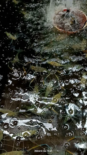 Opinii despre 榴莲饭档 Kedai Makanan Liu Lian (Liu Lian Restaurant) în Tanjung Tualang - Gastronomi dan perhotelan