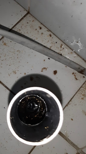 5, Jalan Bukit 11/2, Pjs 11, 46200 Petaling Jaya, Selangor