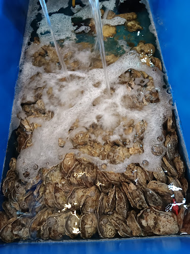 Qun Hua Kuala Selangor Seafood Restaurant