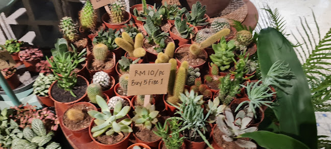 Naug Cafe (Naug Just Plants’ backyard) - Johor Bahru