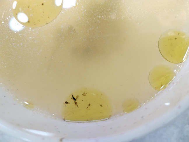 Restoran Pulau Pinang - Jelutong