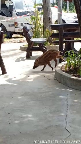 Jalan Permatang Gedong, Kampung Matang Gedong, 08000 Sungai Petani, Kedah