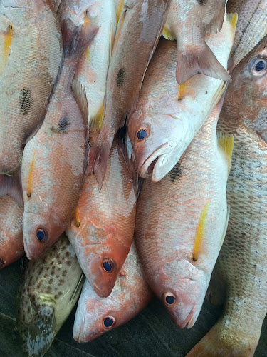 Jln Besar, Kampung Kuala Besut, 22300 Besut, Terengganu