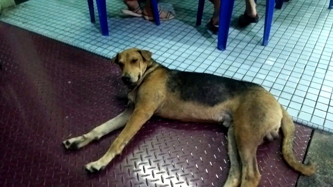 The Gift Tilapia Restaurant - Seremban