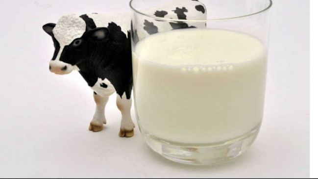 Comentarii opinii despre restoran maha maju