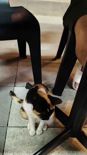 35, Jln Persisiran Perling 1, Taman Perling, 81200 Johor Bahru, Johor Darul Ta'zim