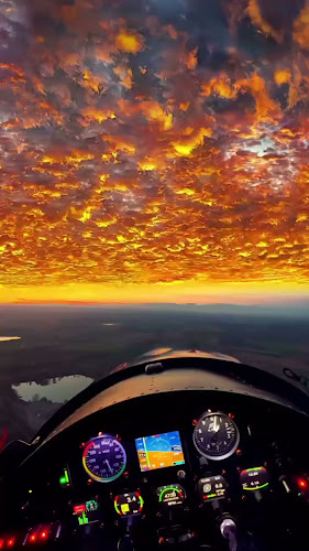 Burger Collect - Gastronomi dan perhotelan