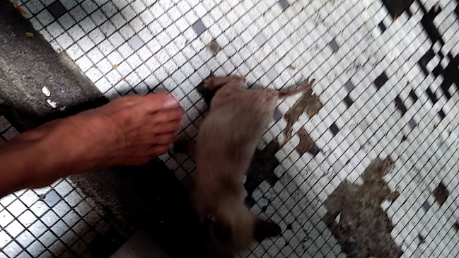 Good Corner - Gastronomi dan perhotelan