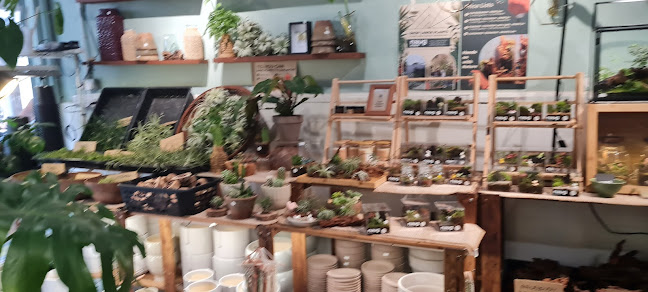 50A, Jalan Tan Hiok Nee, Bandar Johor Bahru, 80300 Johor Bahru, Johor Darul Ta'zim