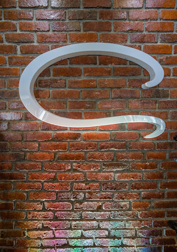 Comentarii opinii despre Chappati.com