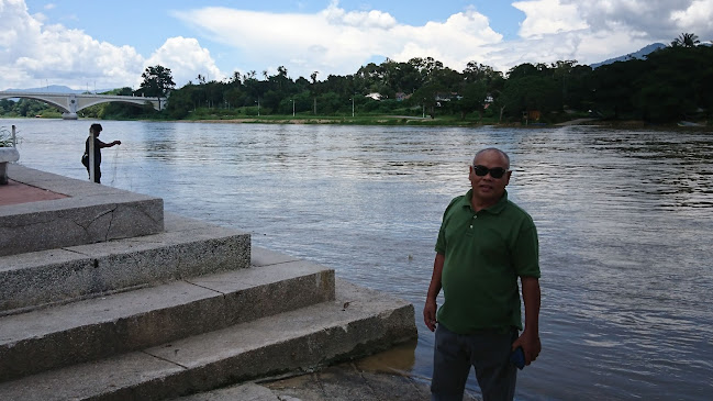 Comentarii opinii despre Original Medan 61