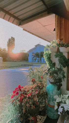 Comentarii opinii despre FULL BELLY