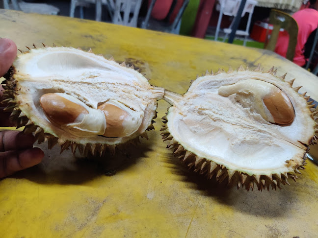 Opinii despre Lan Corner în Kuala Terengganu - Gastronomi dan perhotelan