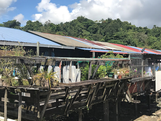 Opinii despre Kg Pukat Fisherman Village în Sandakan - Gastronomi dan perhotelan