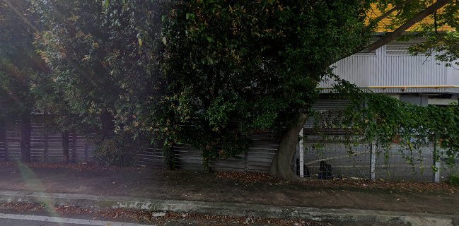 Taste of Medan (IPC)