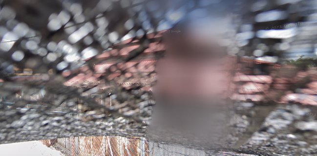 SW fruit and vegetable